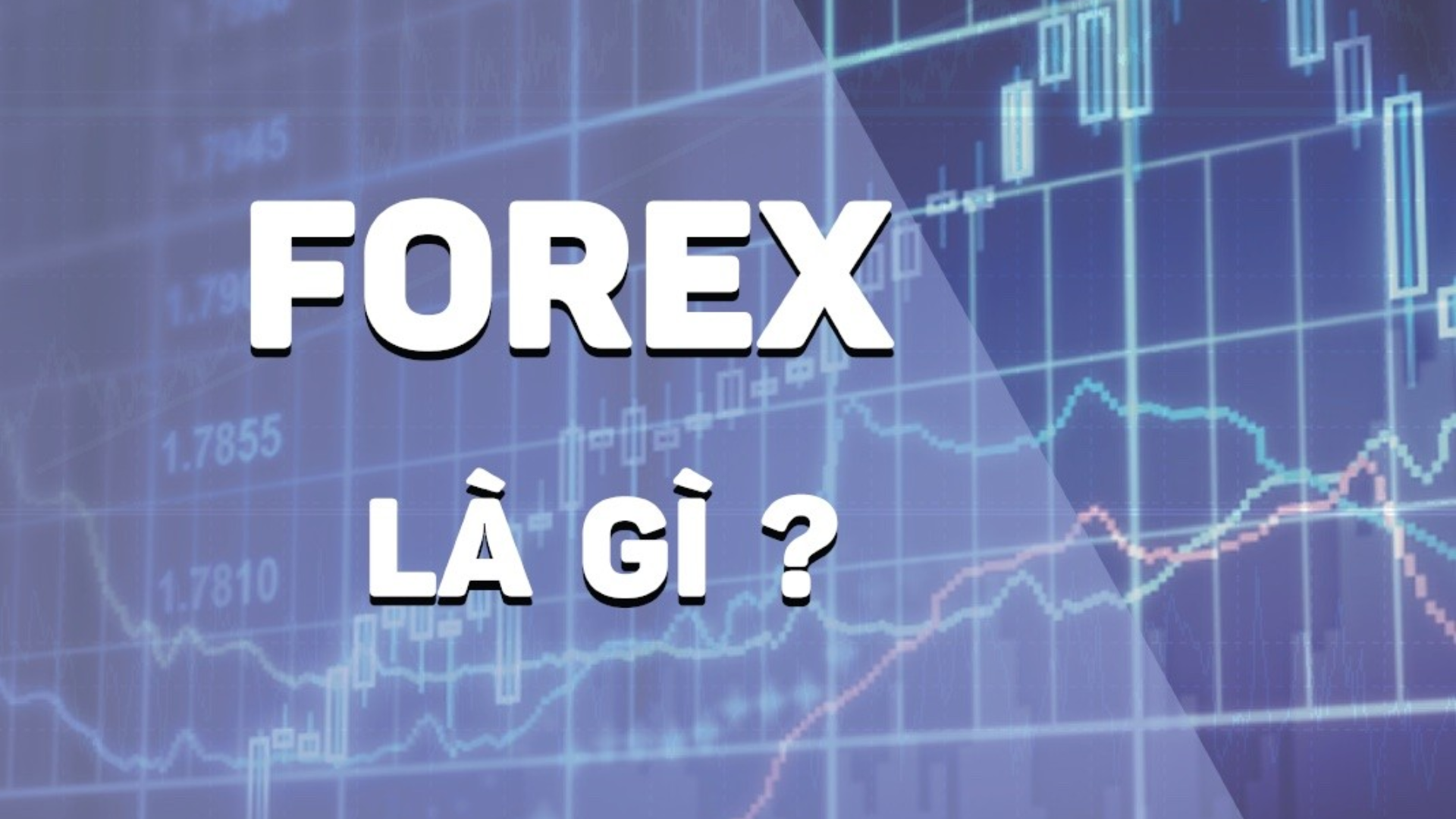 Forex Là Gì? Cẩm Nang Tìm Hiểu Thị Trường Ngoại Hối 5 Sàn giao dịch Forex là gì?