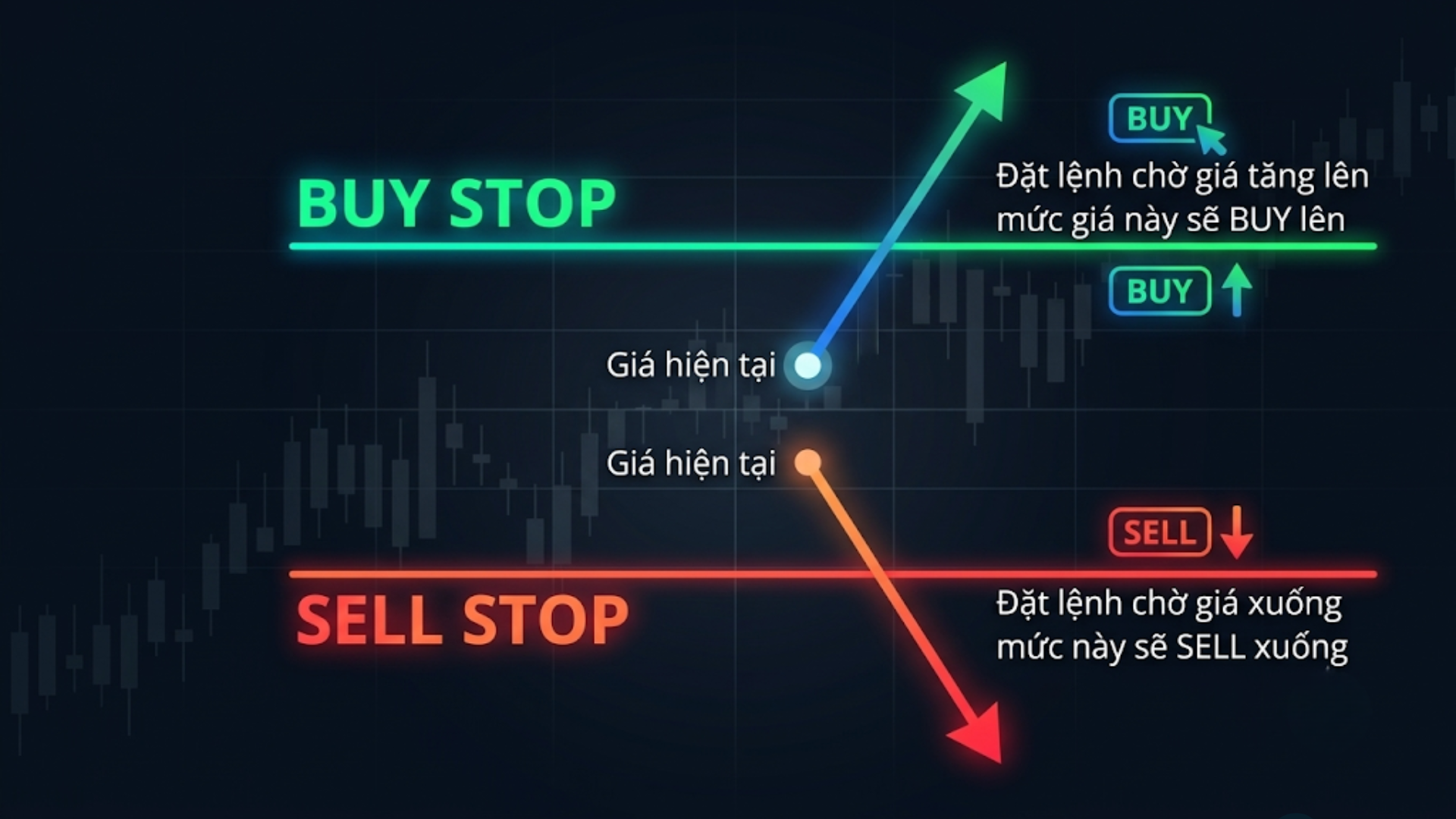 Lệnh giao dịch Forex là gì?