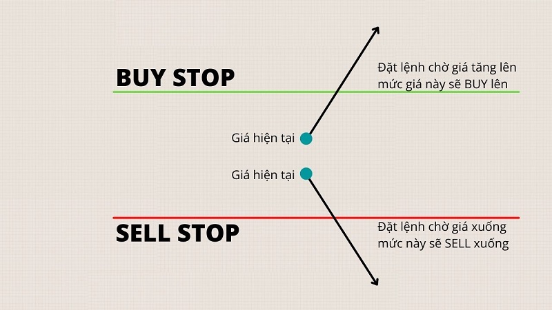 Tổng Hợp Các Lệnh Trong Forex Thường Gặp & Cách Dùng Hiệu Quả